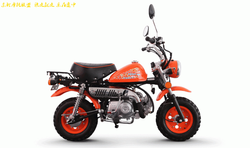 金城金童jc70-7 情人节和糖果版小猴子上市