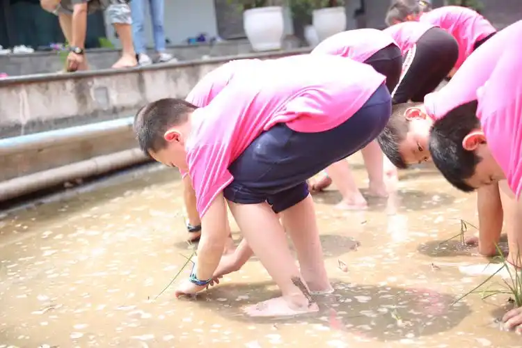 舌尖上的一粒米——巴蜀小学二年级