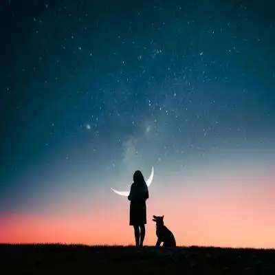 高清伤感意境唯美图片_风景静物头像_我要个性网