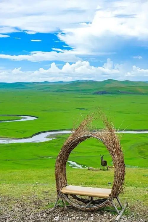 #去大草原撒个野##记录旅行#