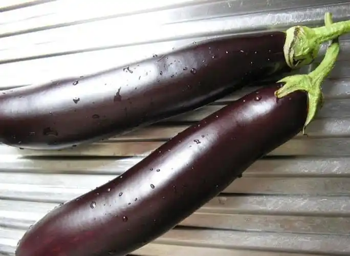 长茄子 5斤 紫黑茄子 新鲜蔬菜 产发qq