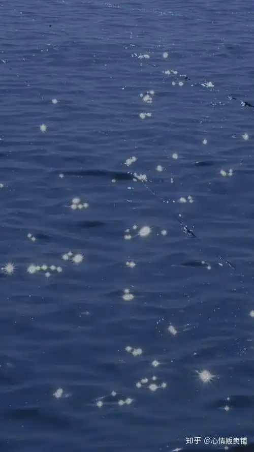 有没有蓝色系壁纸鸭