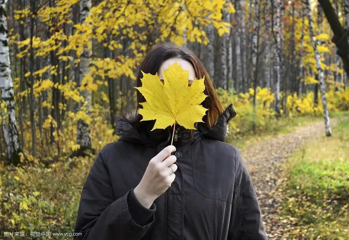 女人手里拿着一片巨大的黄色枫叶,遮住了她的脸