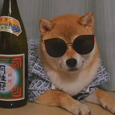 2022笑死人的搞笑狗狗头像狗戴墨镜搞怪吧