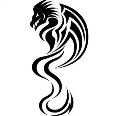 帅气的龙图腾纹身手稿图片