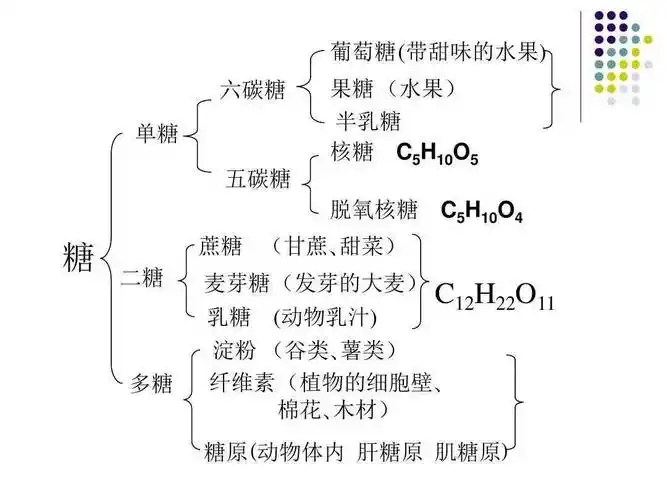 【生物课】碳水化合物_单糖