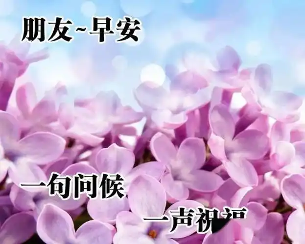早上好唯美暖心问候语早安祝福语漂亮图片