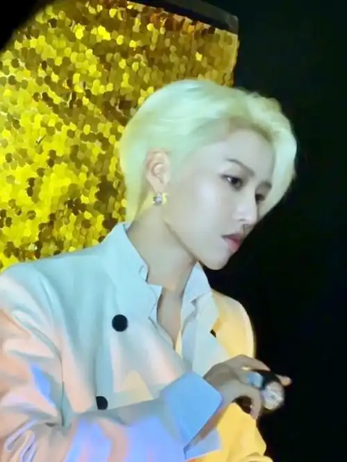 刘雨昕今天活动,金发好贵气!