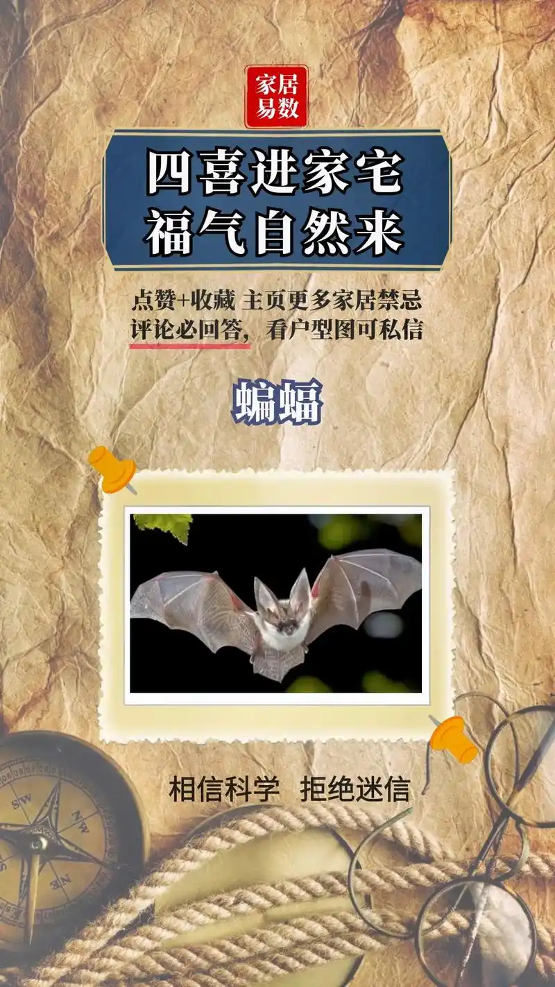 家中来四喜,福气自然来#图文伙伴计划 蝙蝠飞到家里好不,燕子 - 抖音