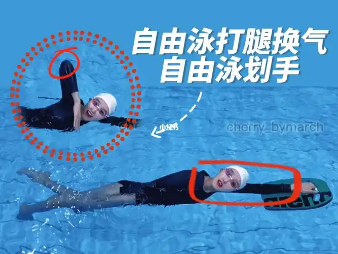 自由泳划手边换气边打腿侧头呼吸练习好之后再加划手练习事半功倍