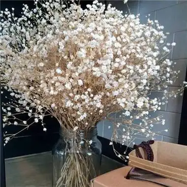 2022微信唯美满天星头像图片 我什么都没有请你谨记-微信头像