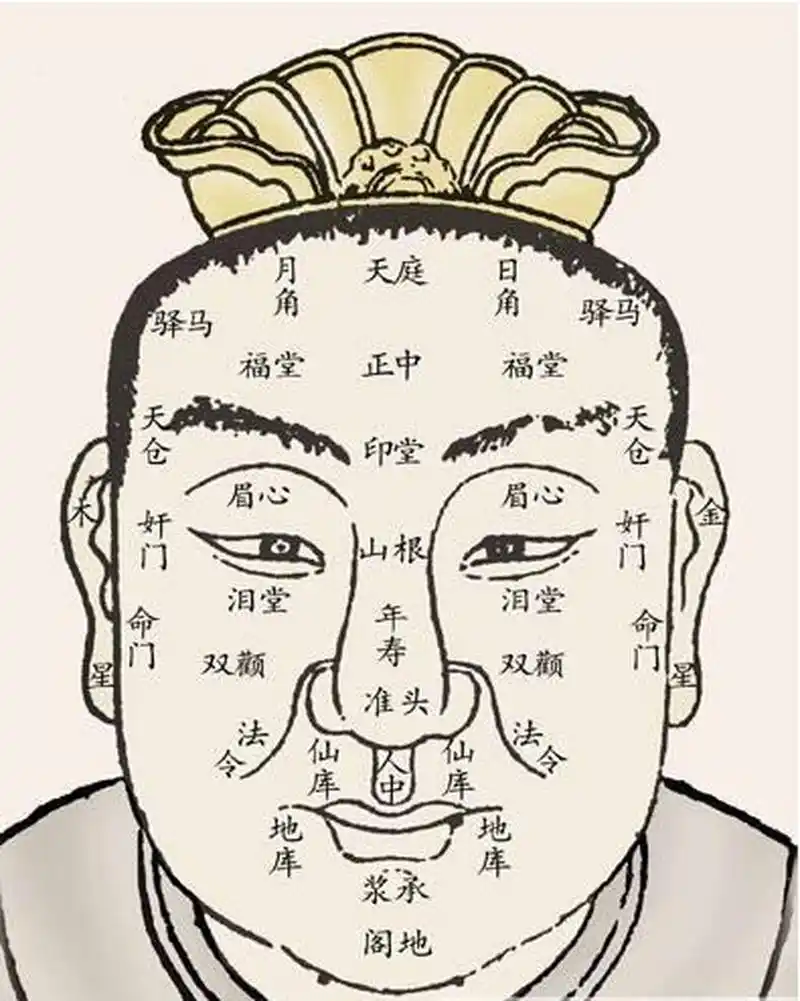 在面相学中就是如此, 耳朵不仅要大, 而且还有要有垂珠,耳有垂珠