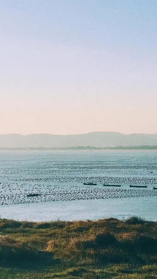海域风景图片手机壁纸
