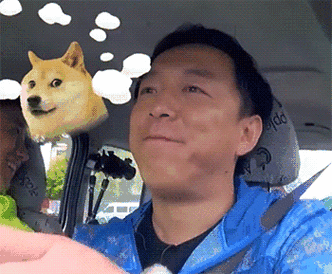 极限挑战黄渤司机综艺搞笑滑稽gif动图_动态图_表情包下载_soogif