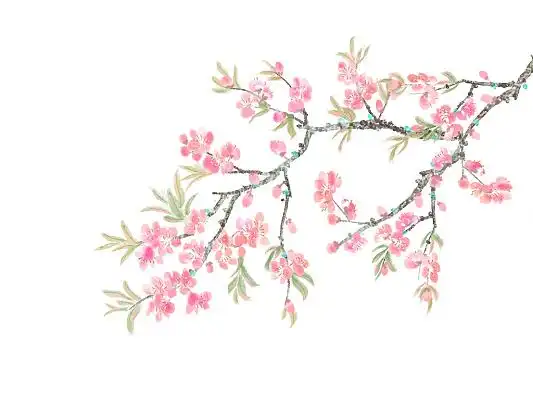 桃花卡通素材-桃花卡通图片-桃花卡通素材图片下载-觅知网