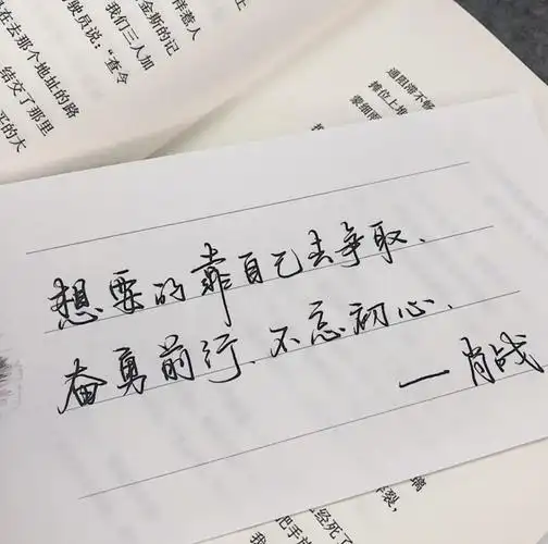 肖战语录