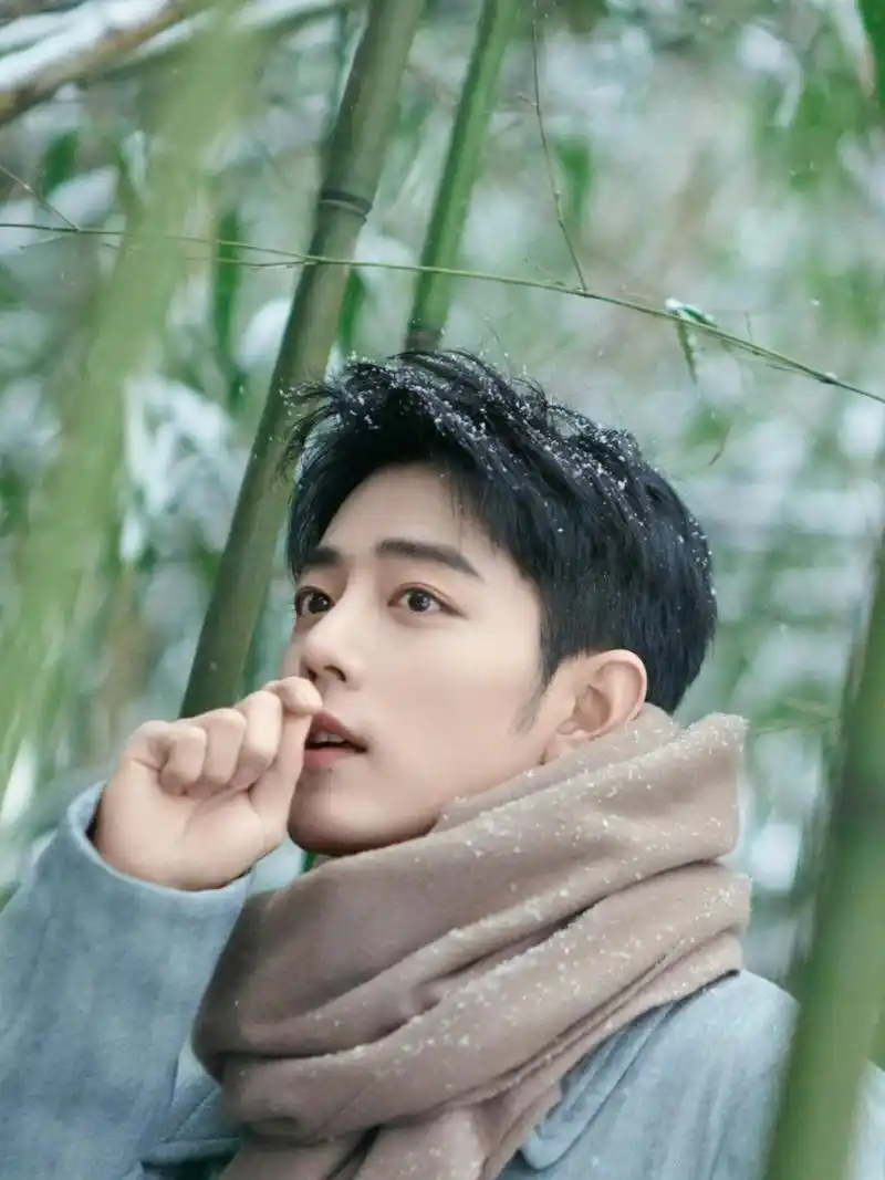 肖战|竹林雪景大片