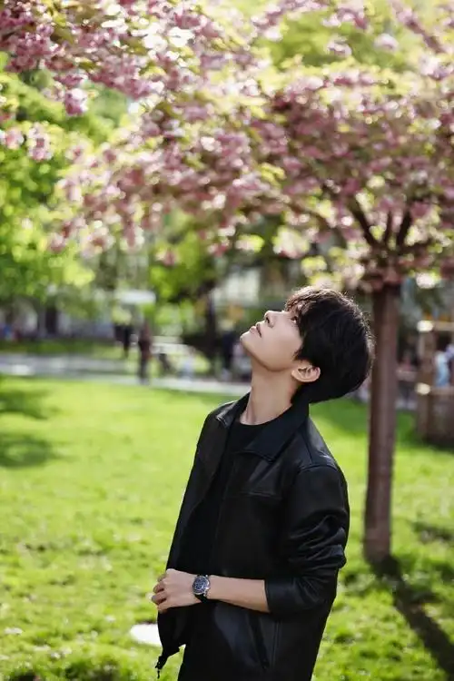 易烊千玺散步望樱花#易烊千玺公园散步好松弛呀,樱花树下的易烊千玺