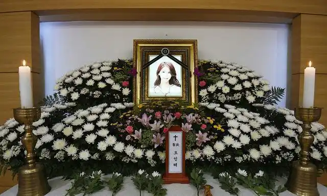 崔雪莉|红毯|韩国明星_网易订阅