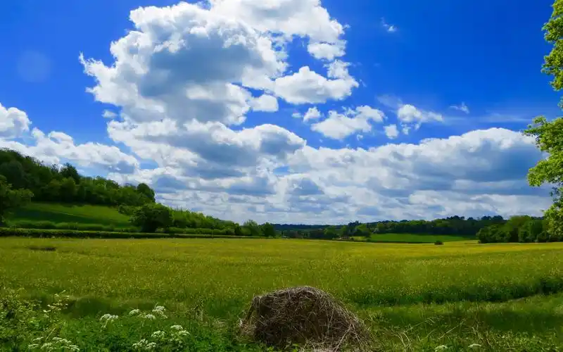 绿色护眼自然风光图片桌面壁纸