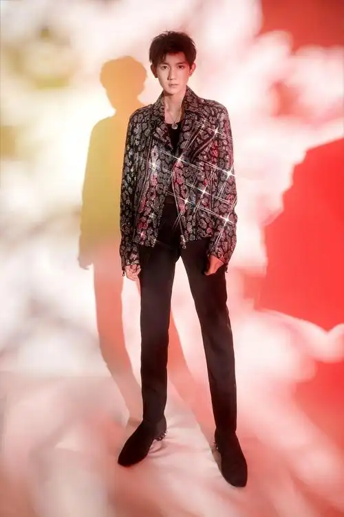 王源水钻豹纹皮衣帅气写真,图库-回车桌面