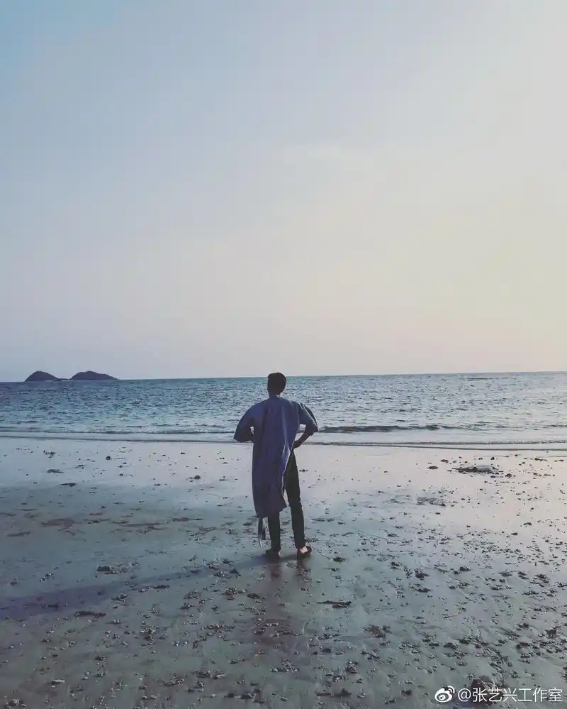 面朝大海的霸气张总,今天福利太多简直比过年开心!