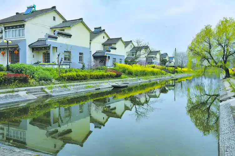 新农村(摄影)--姜堰日报