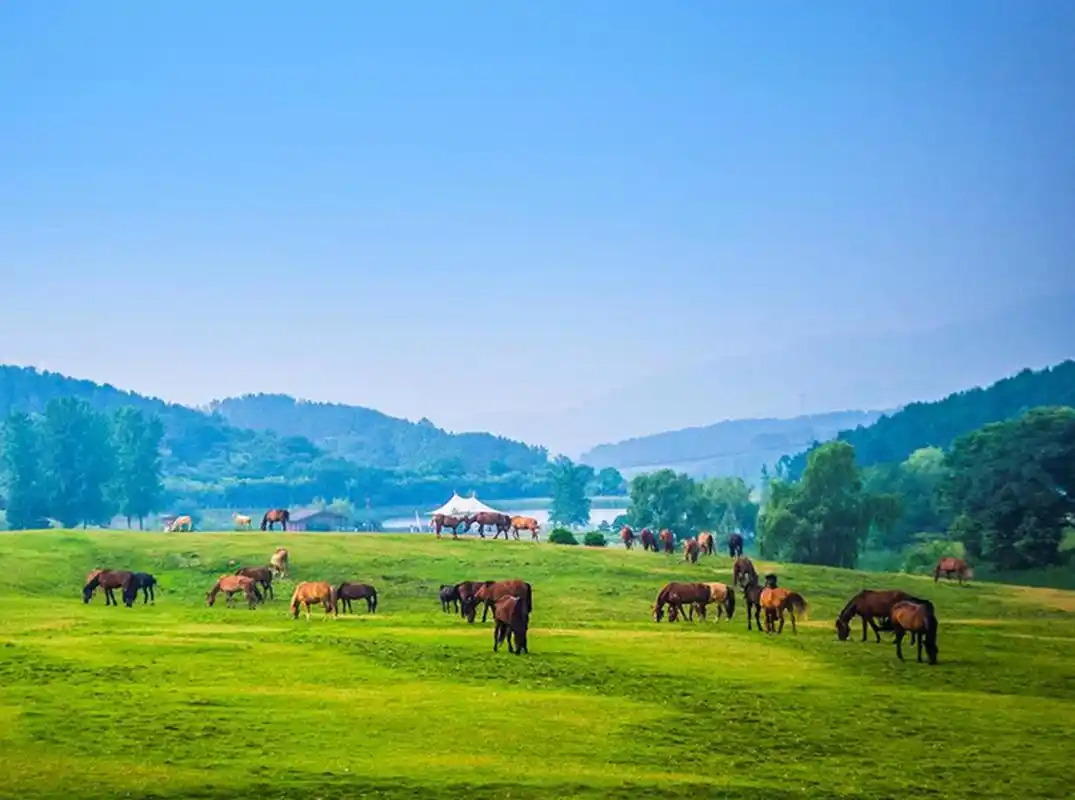 木兰草原露营注意事项?木兰草原在哪里?