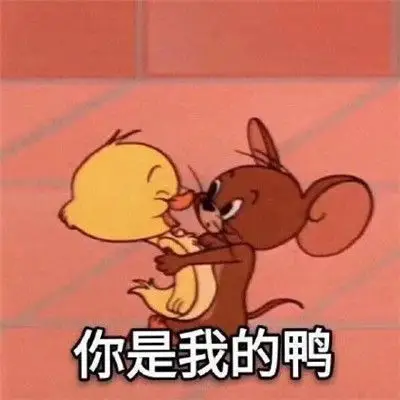 搞怪又沙雕的无水印表情包2021 2021沙雕必备的聊天表情合集82472021