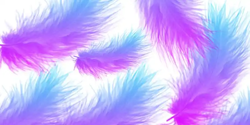 蓝色紫色蓝紫色渐变简约风唯美风羽毛背景