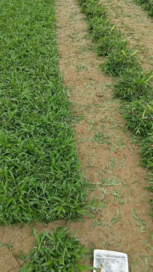 湖南甲臣衡器有限公司