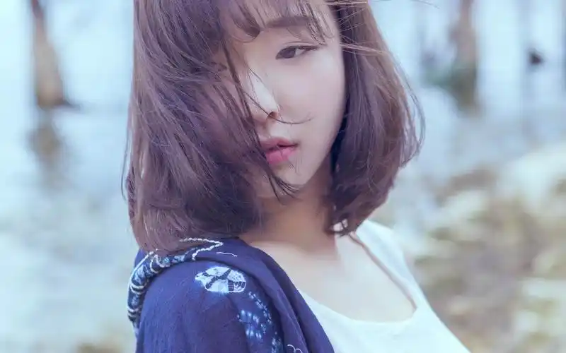 文艺复古清新美女写真壁纸