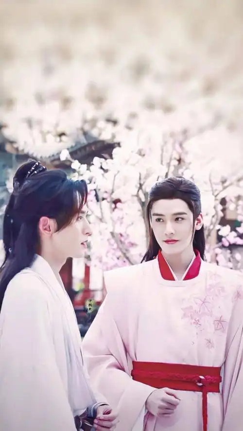 一大波山河令壁纸更新啦