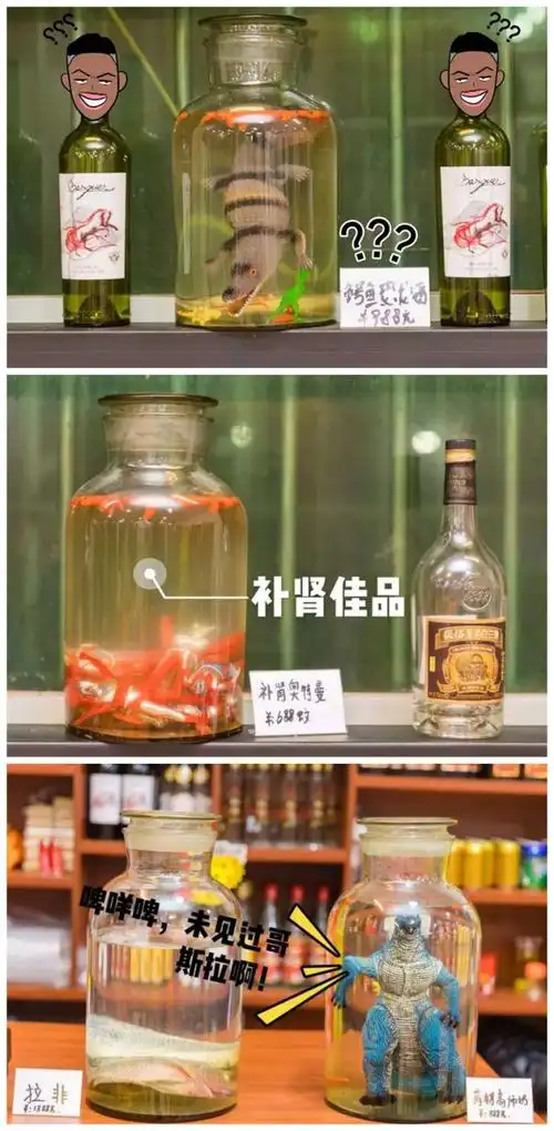 别人家泡的药酒.