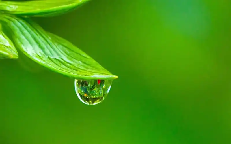 10p】-手机图片/壁纸论坛-zol中关村在线护眼桌面壁纸大小清新绿