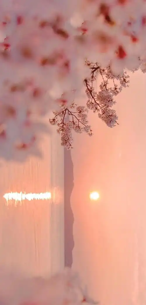 粉色系ins少女心壁纸_手机壁纸_风景静物手机壁纸_我要个性网