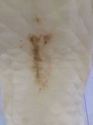 四个月宝宝,宝宝尿布上不知道哪里来的棕色的东西洗不掉,不是便便.