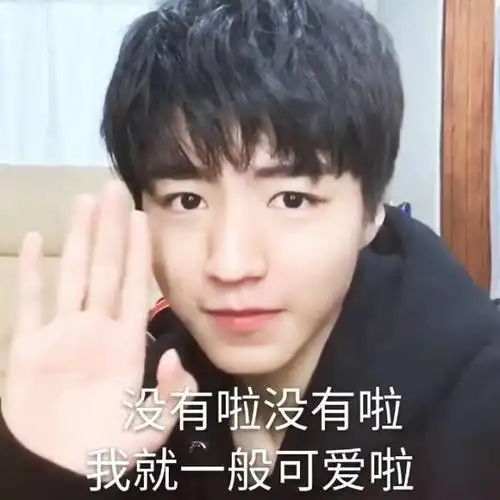 王俊凯文字型表情包