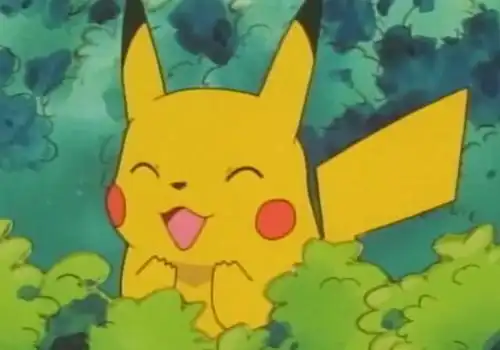 精灵宝可梦皮卡丘到底有多爱小智被放生却依然回到他身边