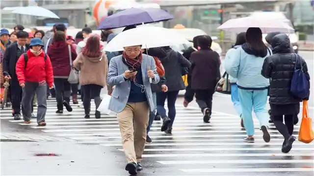 给"低头族"敲响警钟:行人过马路看手机被撞,为何还被判刑罚款