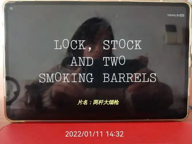 好电影推荐两杆大烟枪