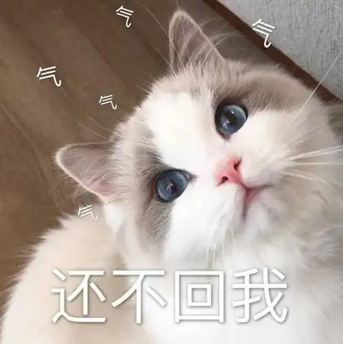 加油 链接是另一部分可爱表情包https://www