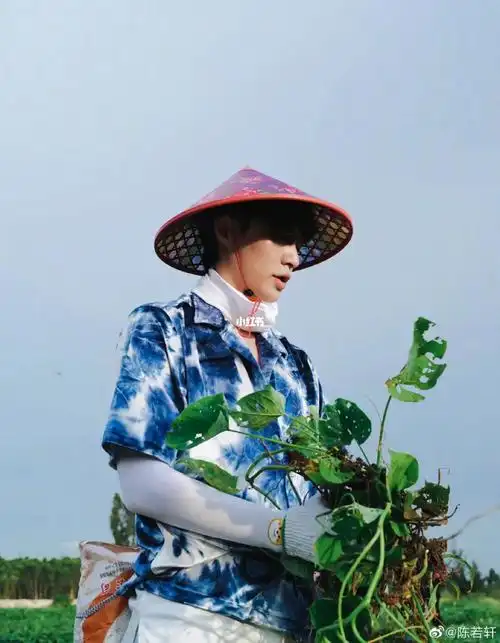 张艺兴没惹任何人,拒绝成为背锅侠!