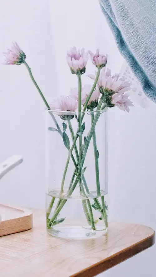 文艺小清新花卉唯美写真,高清图片,手机锁屏桌面-壁纸族