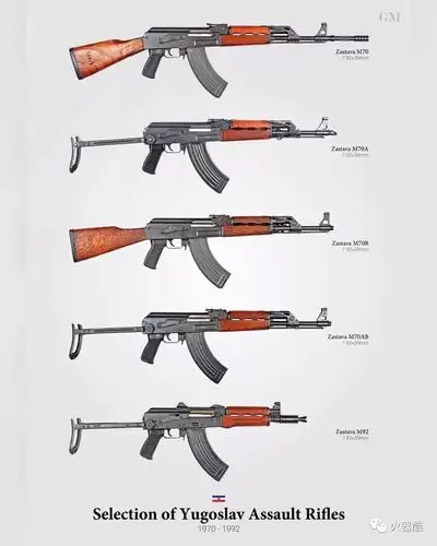枪械百科全图各时期各国家军队主力轻武器概览