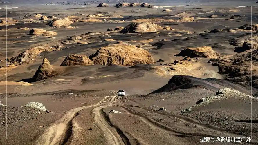 穿越罗布泊保护区要被处罚吗_无人区_探险_骆驼