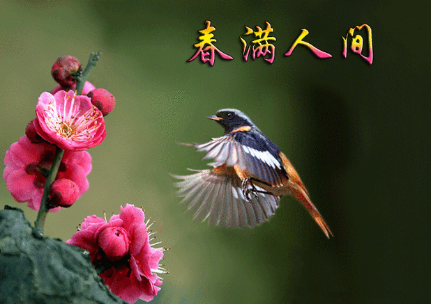 650_460gif 动态图 动图