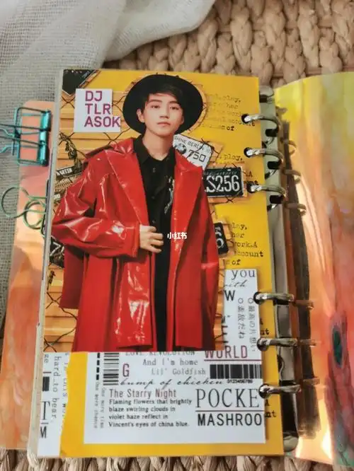 王俊凯追星手帐拼贴红色系