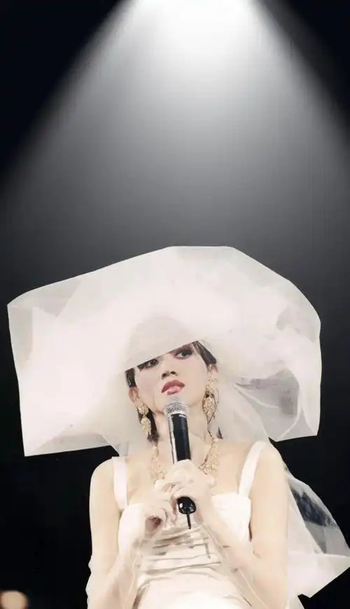 梅姐最后演唱会上这张好美