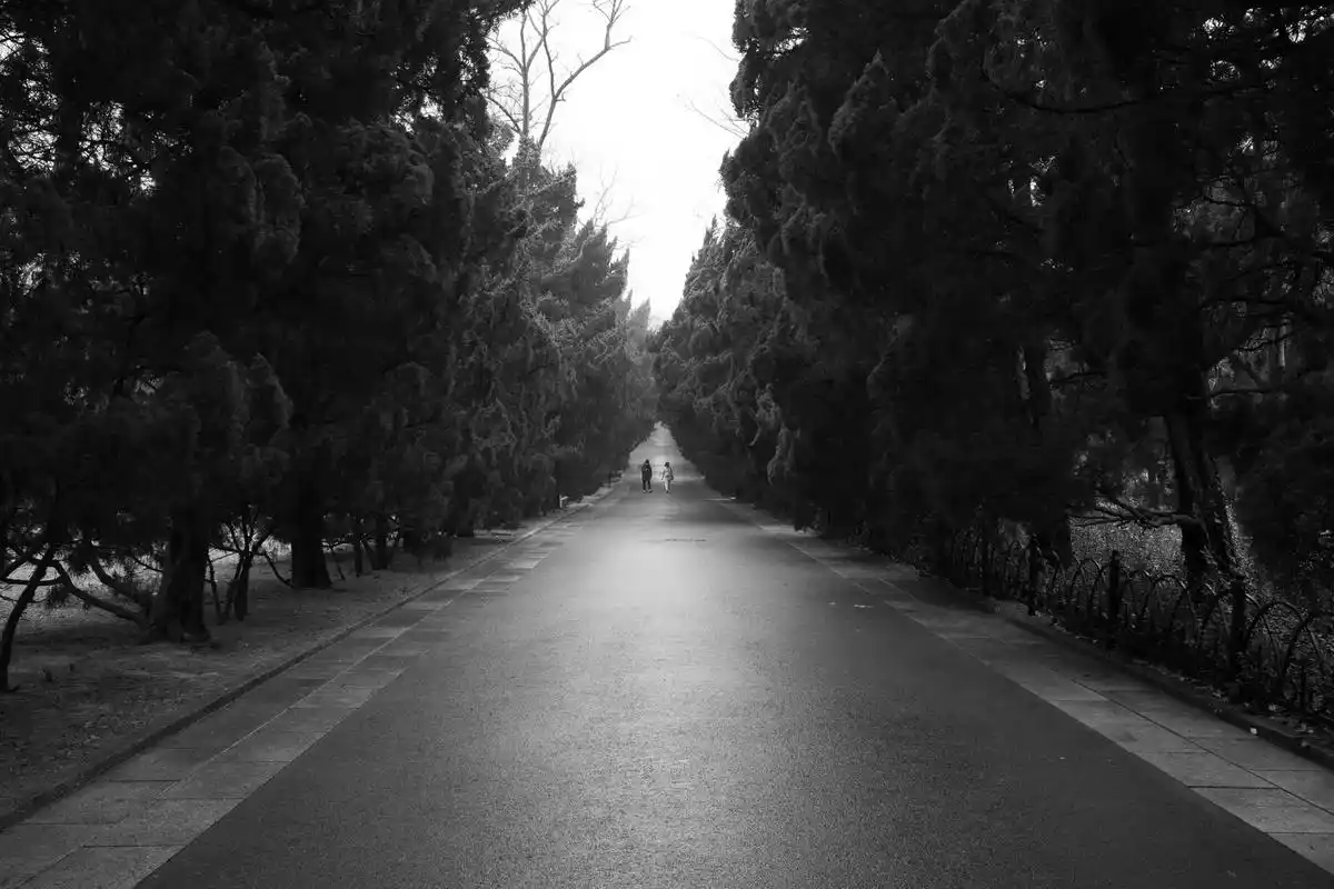 摄影 #胶片 #意境 #黑白摄影 #雾 - 抖音